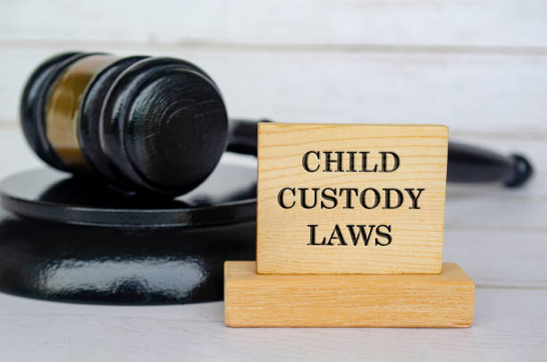 Child Custody — practice area presentation with Tyagi & Associates
