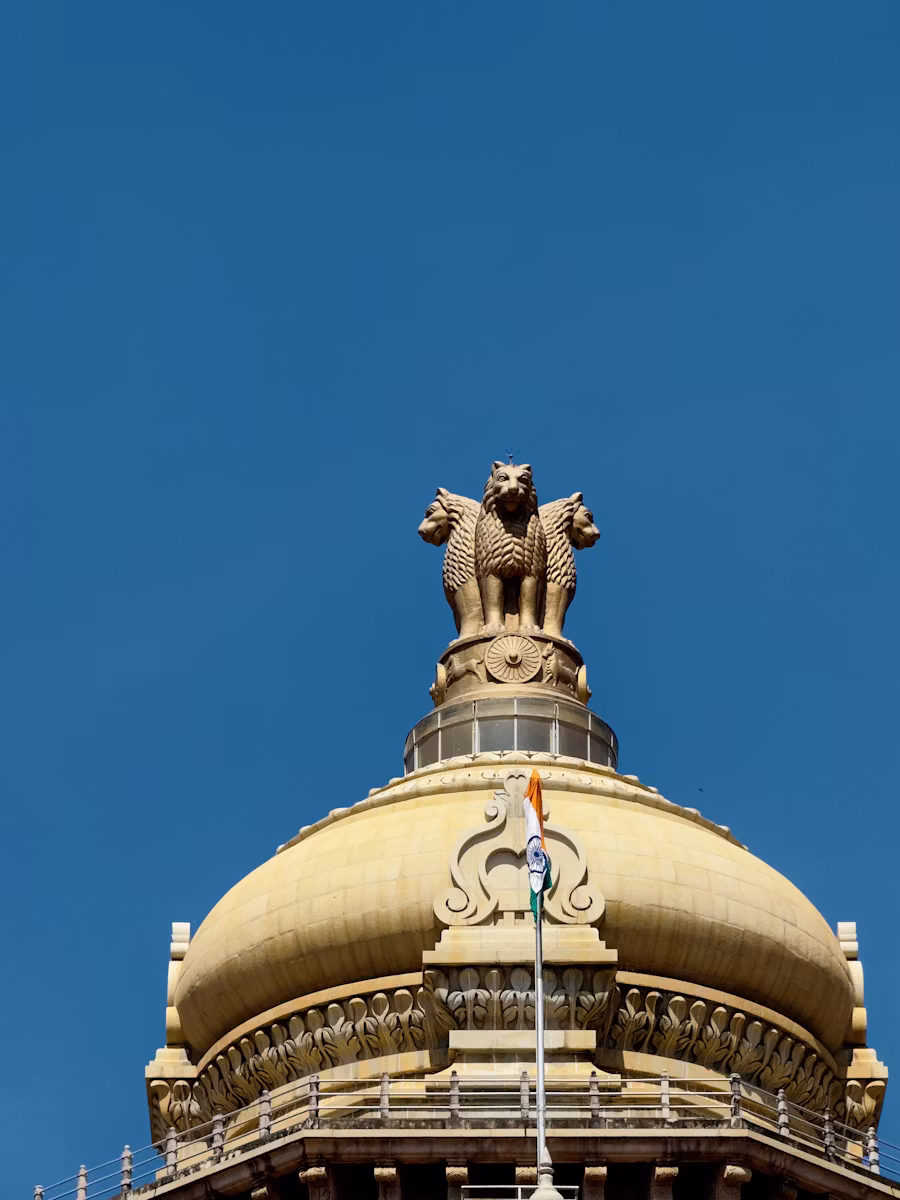 Constitutional & Writ Matters — Tyagi & Associates